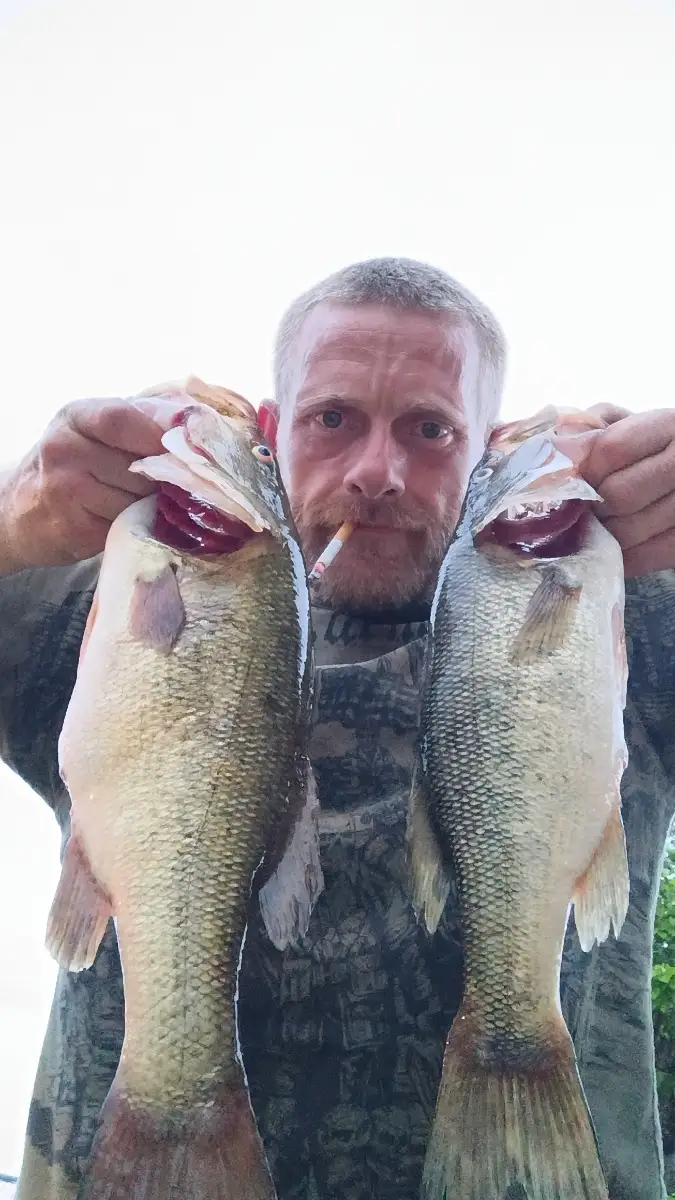 Lmb
