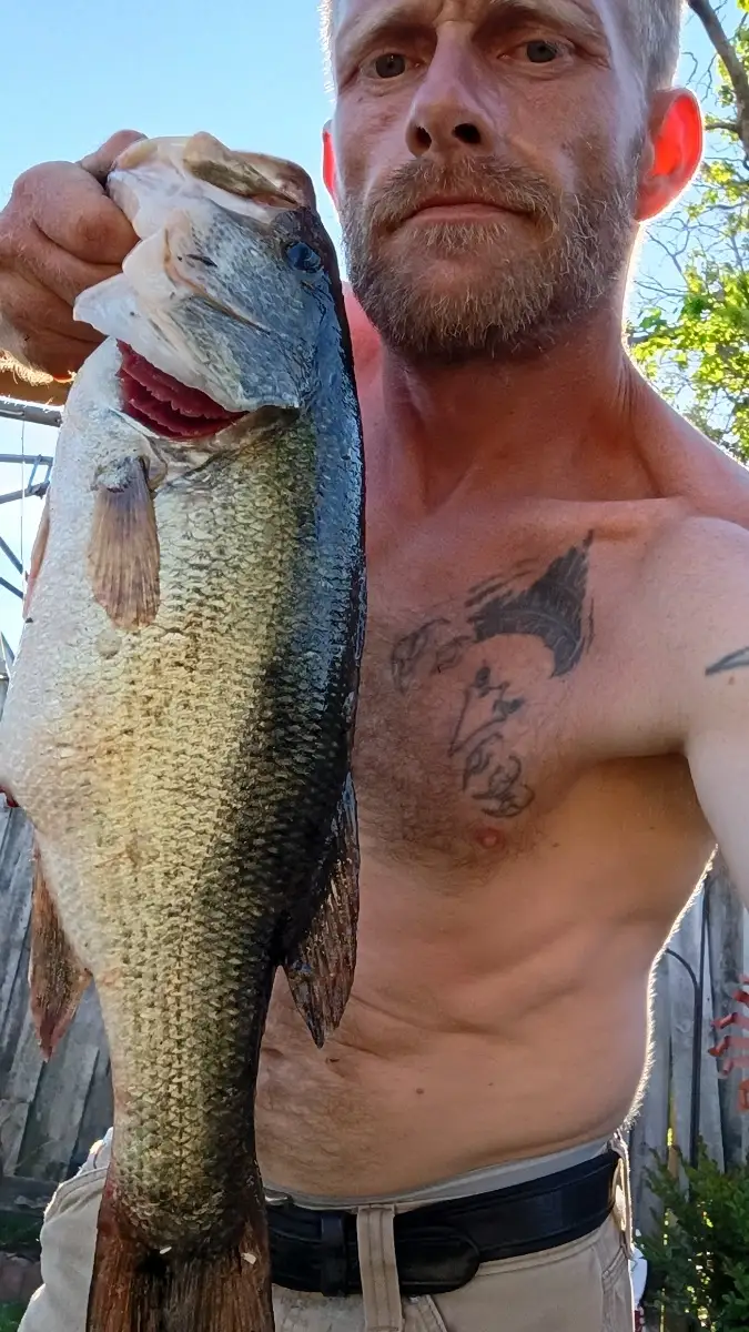 Lmb