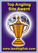 Top anling site award