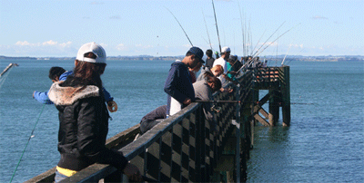 Fishing wharf near Auckland