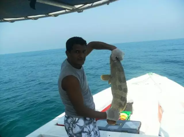 fishing in Abu dhabi