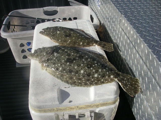 Catching Flounder - How To Set Nets For Flounder