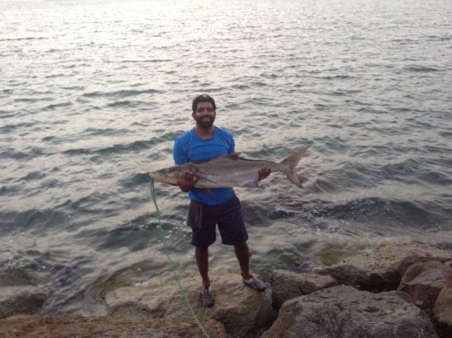  Fishing in UAE Fishing Photo