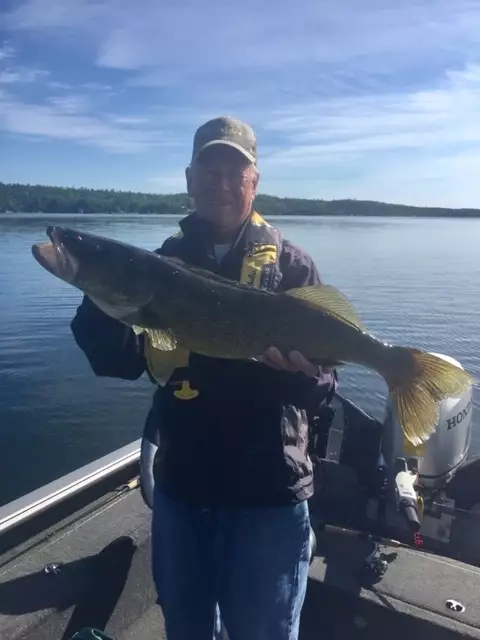 Walleye 27"