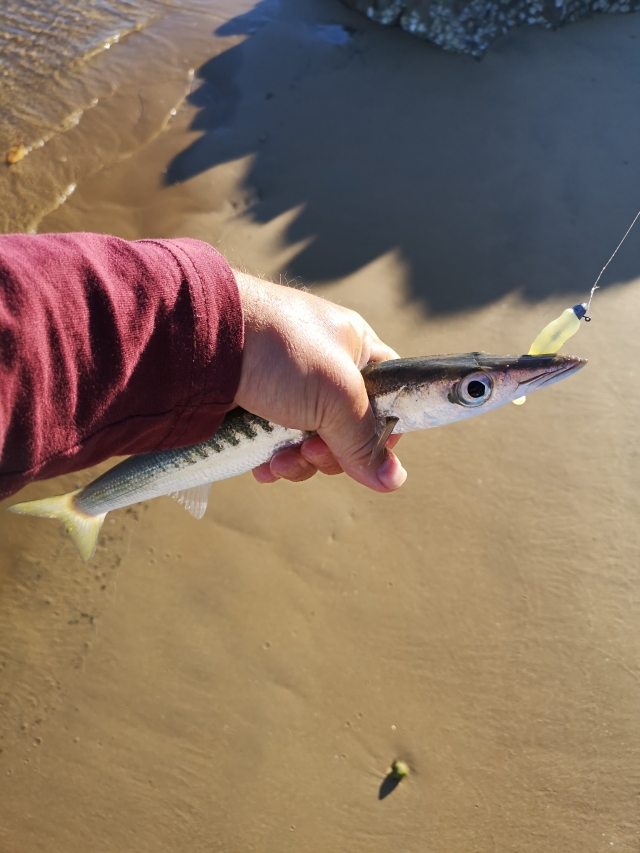 Don't tell him your name Pike | Fishing Photo