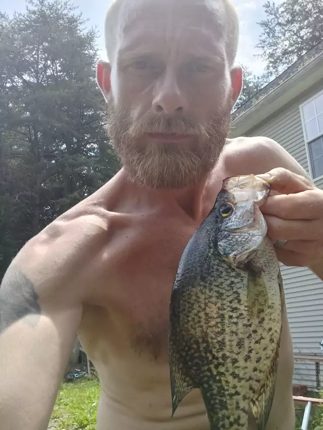 Crappie