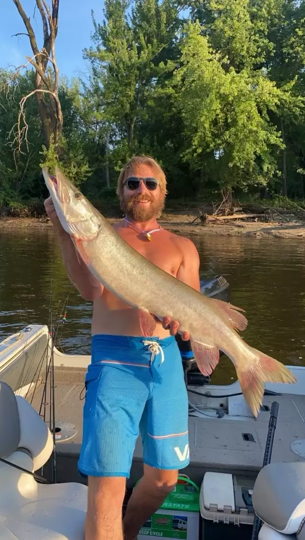 Mississippi river muskie