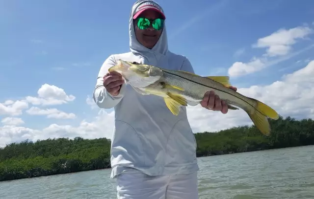 Snook. Nichupte’ Lagoon, Cancun MX