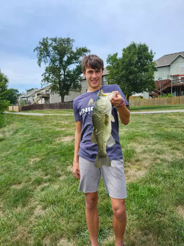 Largemouth Bass 4.10lbs