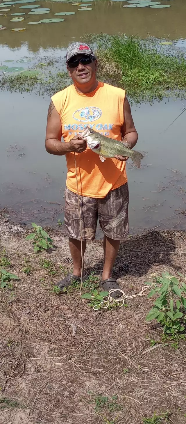 Large mouth bass