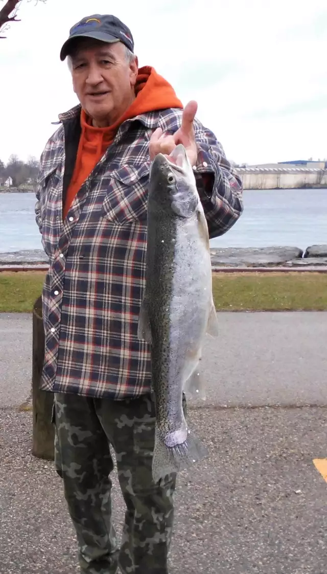 Rainbow trout, St. Clair River, Sarnia, Ont.