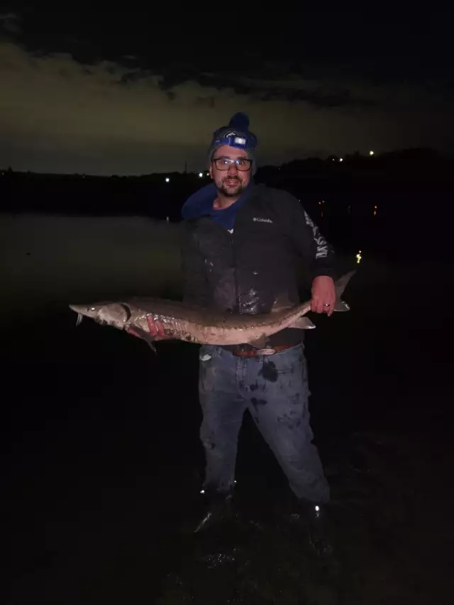 44 inch sturgeon