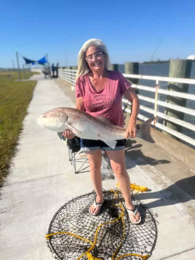 37 inch Redfish