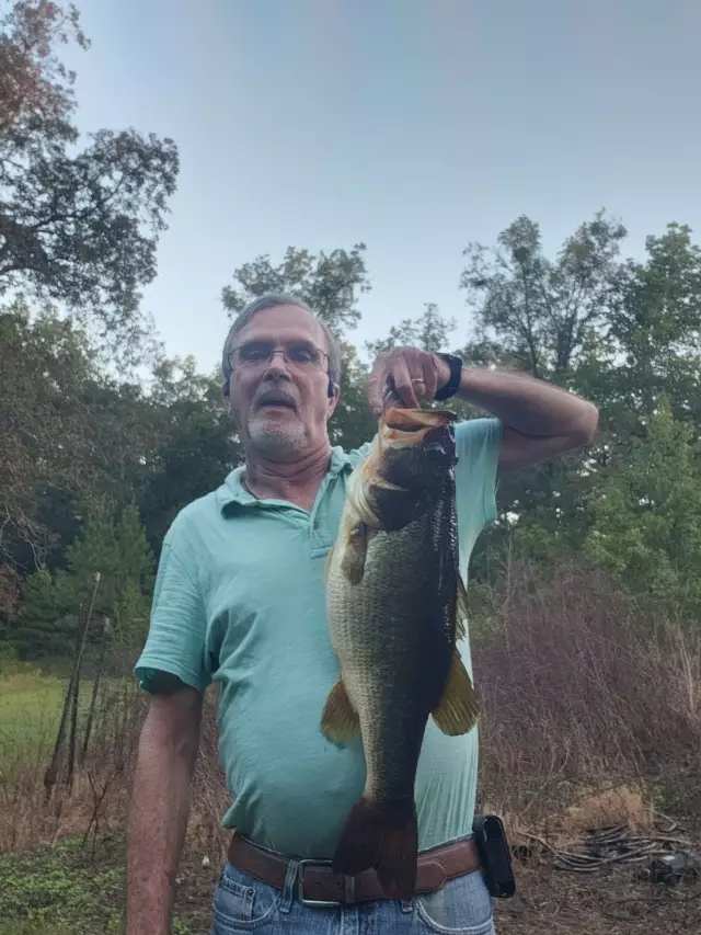 Large Mouth Bass