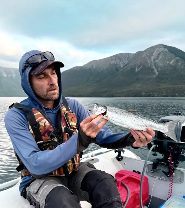 Wild brown trout at lake roroiti(Nelson)