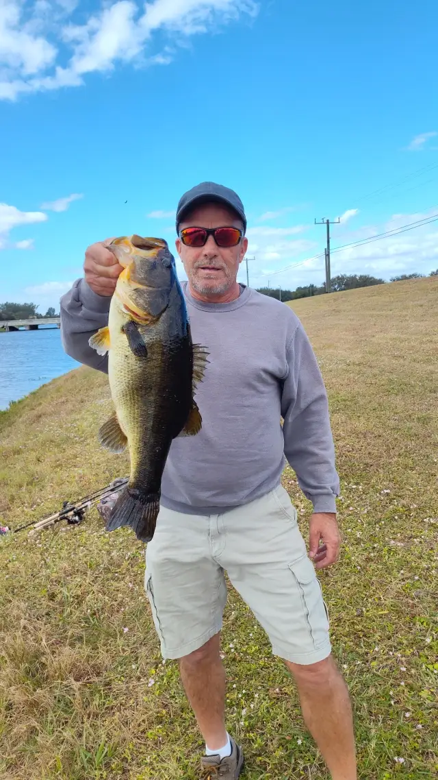 7lb largemouth bass