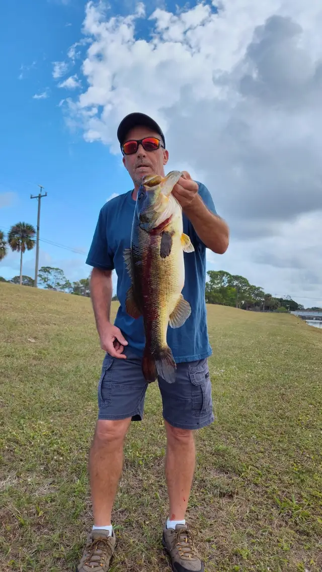 23 1/2 inch 9 lb 13 ounces largemouth bass