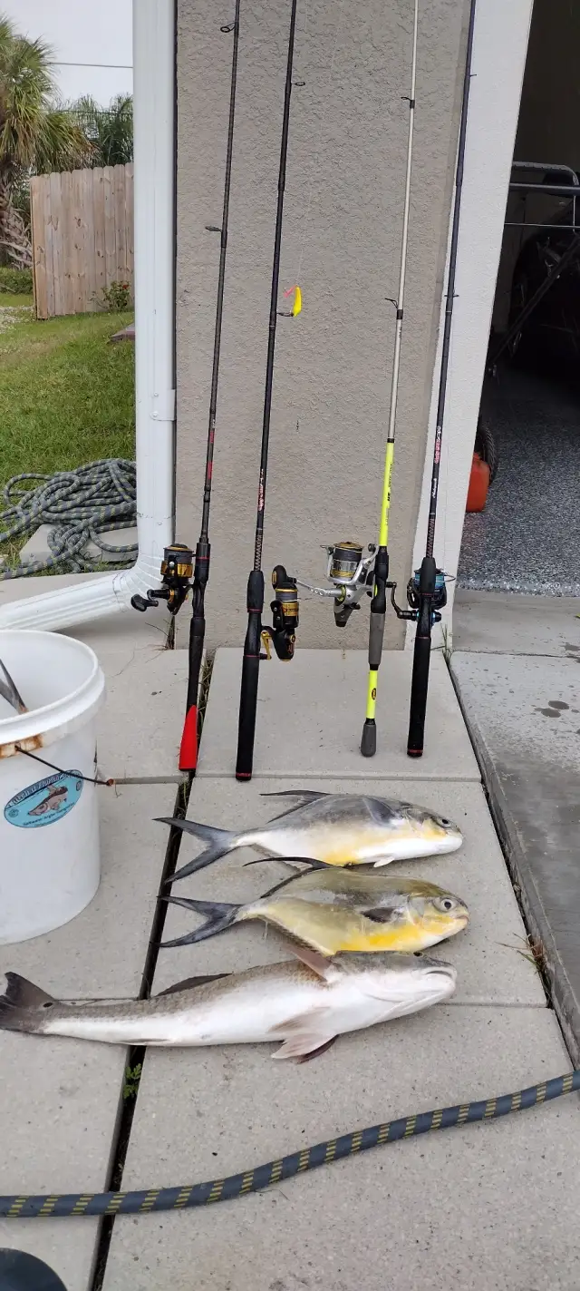 2 Permit & a Red Fish