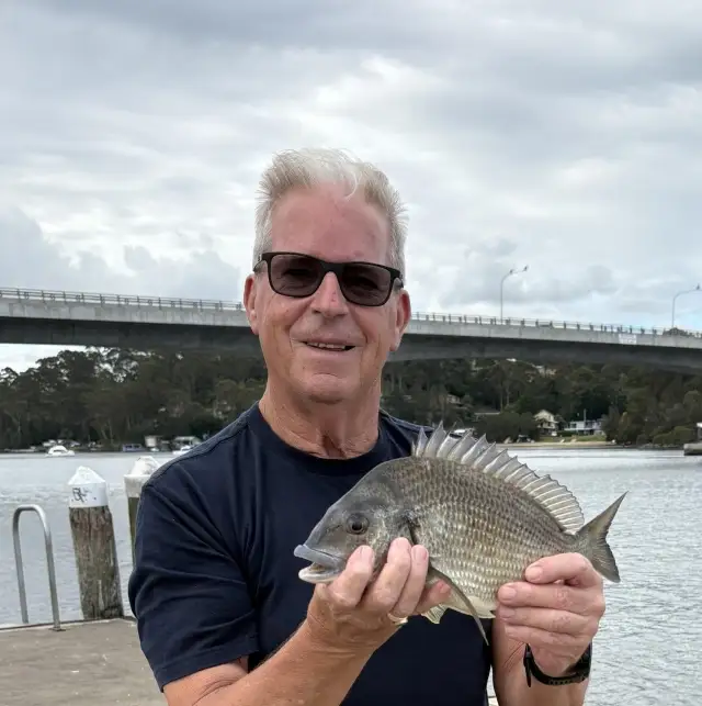 39cm Bream