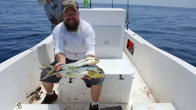 Dorado . Mahi .