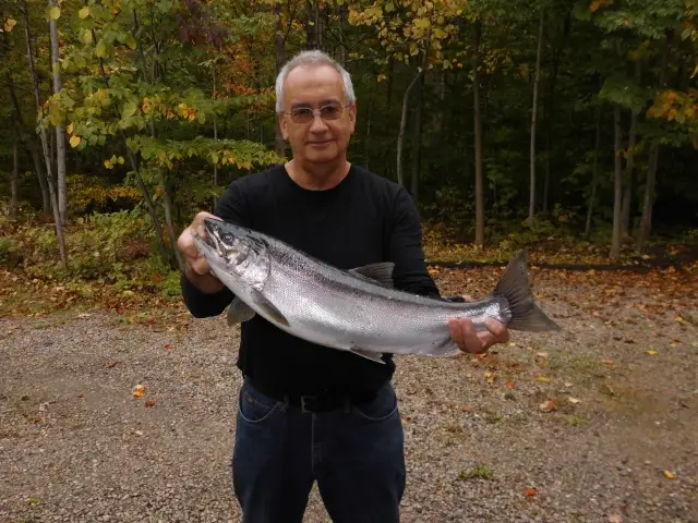 A great Coho salmon a while back