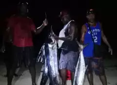 Kavieng Fishing- 30kg blue marlin,  10kg Spanish mackerel plus assorted