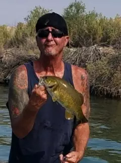 Smallie Action Picking Up on The Colorado, Topock, Az.