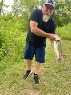 Large mouth bass