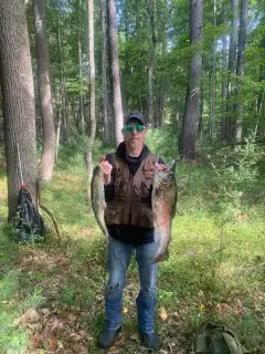 Rainbow trout