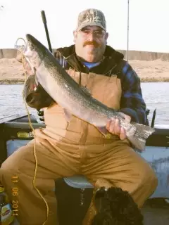 B - Run Hatchery Steelhead