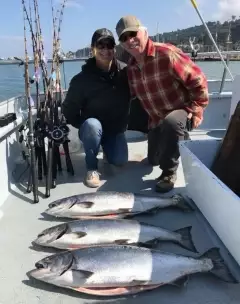 King Salmon. Outside the Golden Gate