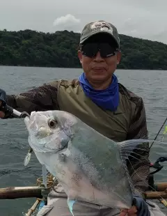 Diamond Trevally