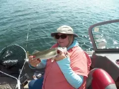 walleye