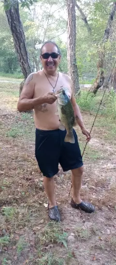 Largemouth bass