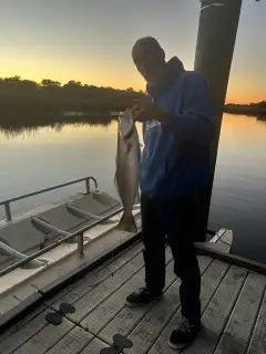 speckle trout