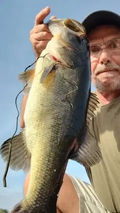 22 1/2 8 lbs 7 ounces largemouth bass