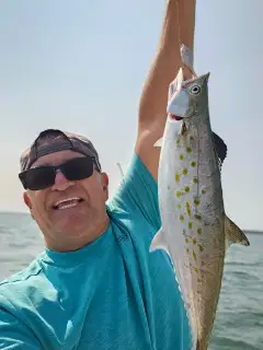 Spanish Mackerel