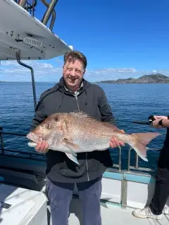 20 lb  Snapper