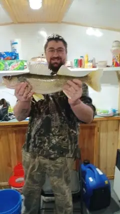 Walleye