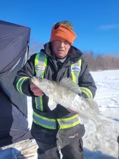 Walleye