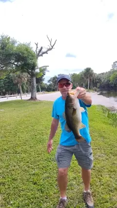 5lb. Largemouth bass