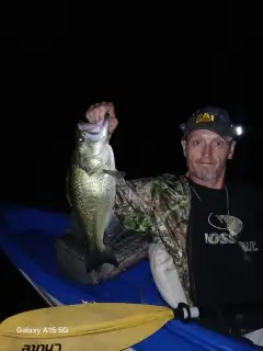 Large mouth bass