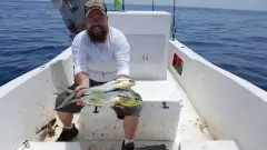 Dorado . Mahi .